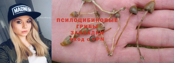 ПСИЛОЦИБИНОВЫЕ ГРИБЫ Абдулино