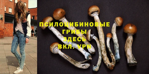 ПСИЛОЦИБИНОВЫЕ ГРИБЫ Абдулино